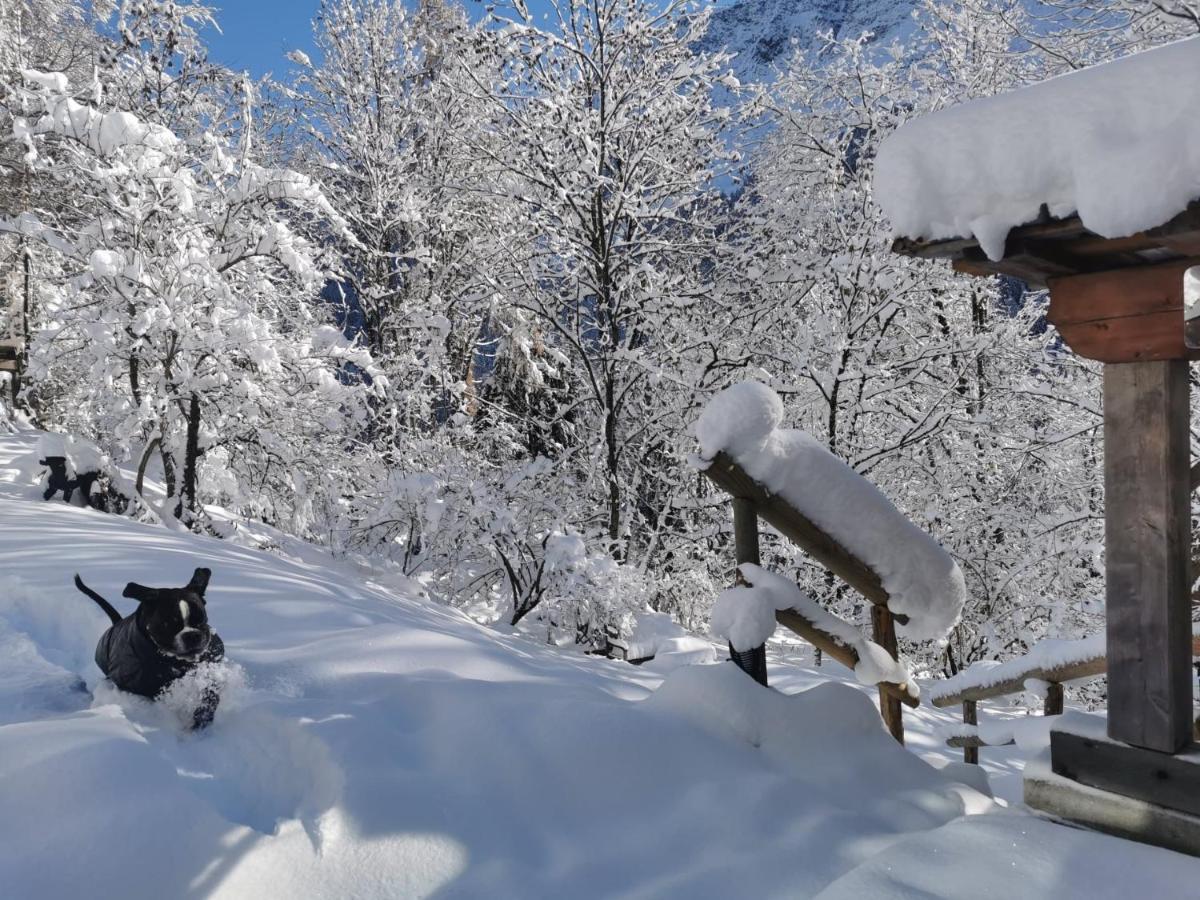 Dolomiti House 호텔 씨비아나 외부 사진
