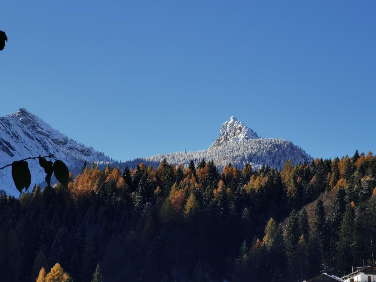 Dolomiti House 호텔 씨비아나 외부 사진